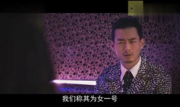 鸭王视频,揭秘鸭界传奇，带你领略鸭王风采